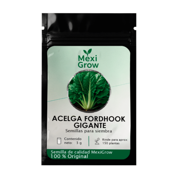 IMG_Acelga_Fordhook_GiganteV_1 Acelga Fordhook Gigante – Semilla Premium seleccionada por MexiGrow