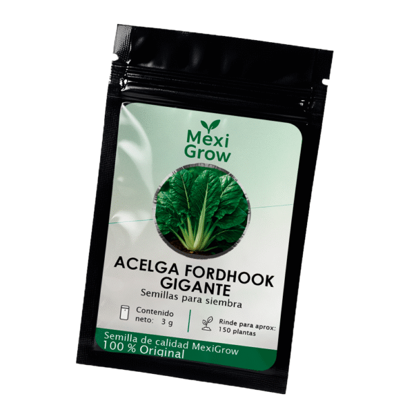 IMG_Acelga_Fordhook_GiganteV_2 Acelga Fordhook Gigante – Semilla Premium seleccionada por MexiGrow