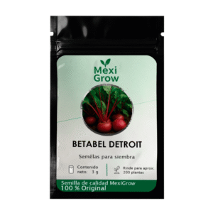 Betabel Detroit – Semilla Premium seleccionada por MexiGrow