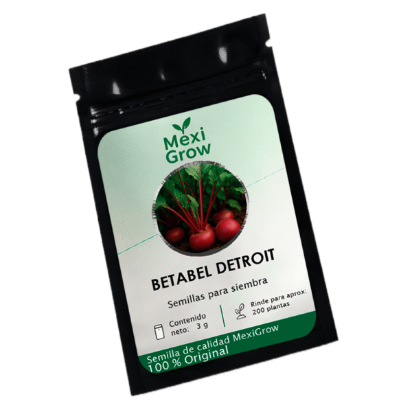 Betabel Detroit – Semilla Premium seleccionada por MexiGrow