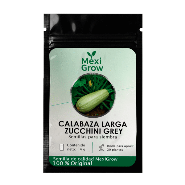 Calabaza Larga Zucchini Grey – Semilla Premium seleccionada por MexiGrow