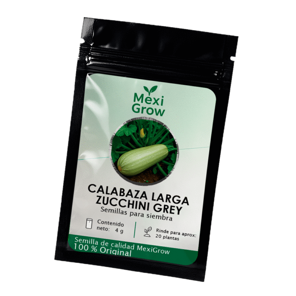 Calabaza Larga Zucchini Grey – Semilla Premium seleccionada por MexiGrow
