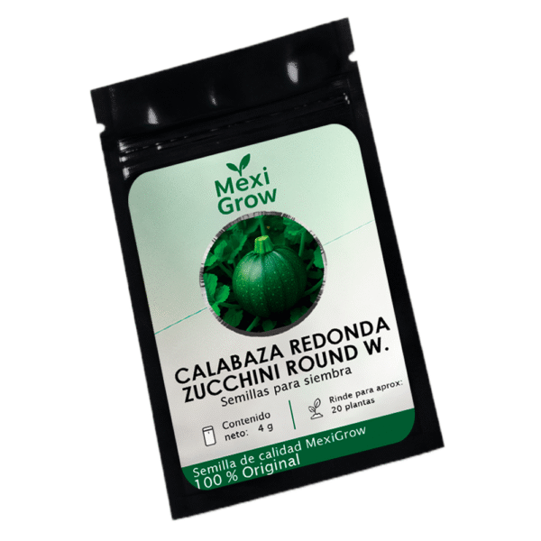 Calabaza Redonda Zucchini Round Westar – Semilla Premium seleccionada por MexiGrow