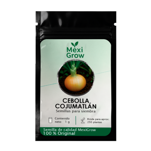 Cebolla Cojumatlán – Semilla Premium seleccionada por MexiGrow