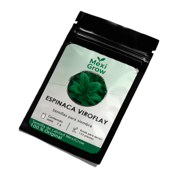 Espinaca Viroflay – Semilla Premium seleccionada por MexiGrow