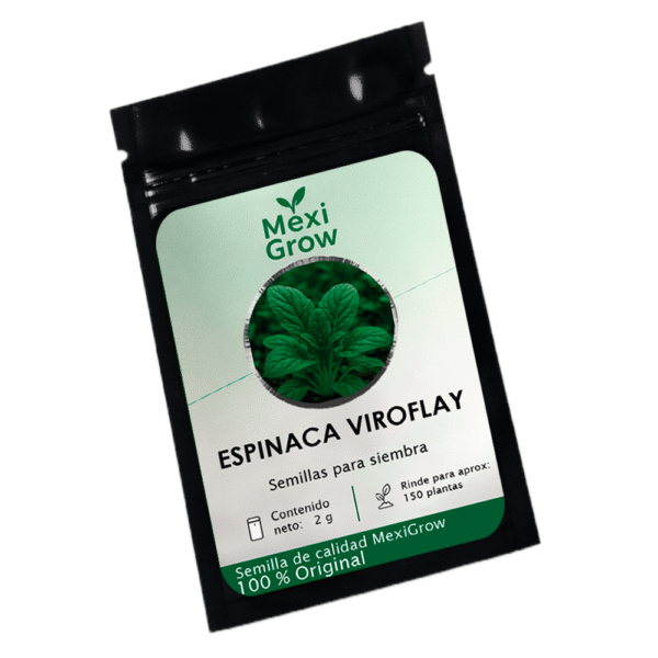 Espinaca Viroflay – Semilla Premium seleccionada por MexiGrow
