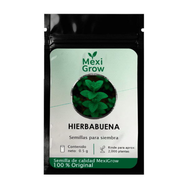 Hierbabuena – Semilla Premium seleccionada por MexiGrow