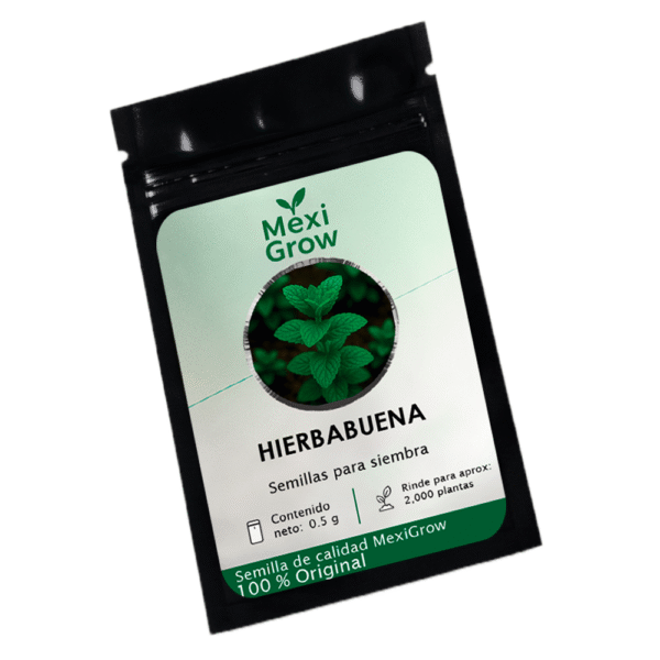 Hierbabuena – Semilla Premium seleccionada por MexiGrow