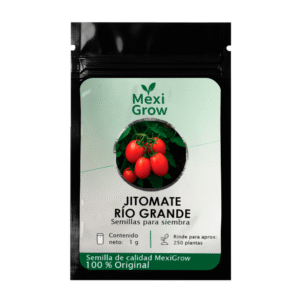 Tomate Río Grande – Semilla Premium seleccionada por MexiGrow