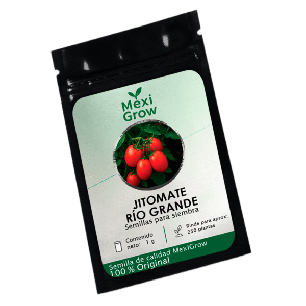 Tomate Río Grande – Semilla Premium seleccionada por MexiGrow