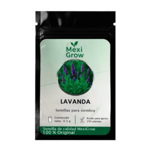 Lavanda – Semilla Premium seleccionada por MexiGrow