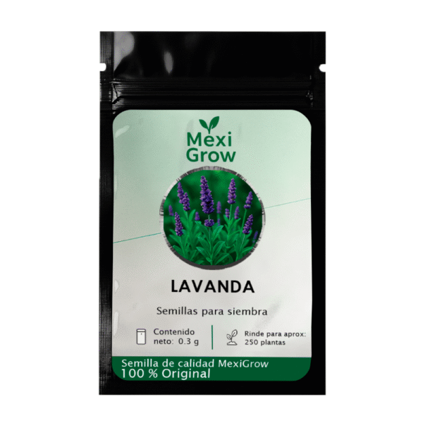Lavanda – Semilla Premium seleccionada por MexiGrow