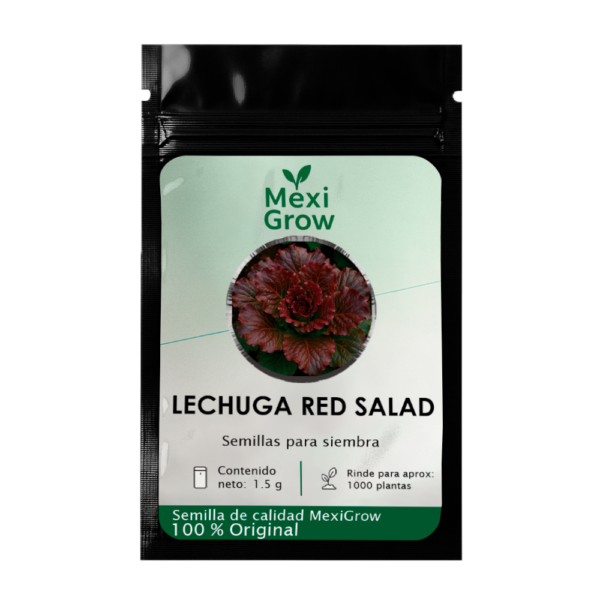 IMG_Lechuga_Red_Salad_BowlV_1 Lechuga Red Salad Bowl – Semilla Premium seleccionada por MexiGrow