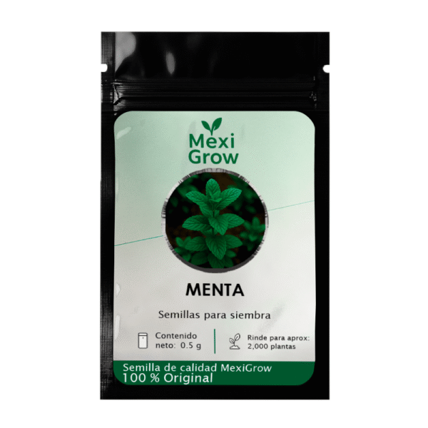 Menta – Semilla Premium seleccionada por MexiGrow
