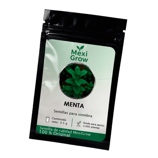 Menta – Semilla Premium seleccionada por MexiGrow