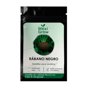 Rábano Negro – Semilla Premium seleccionada por MexiGrow