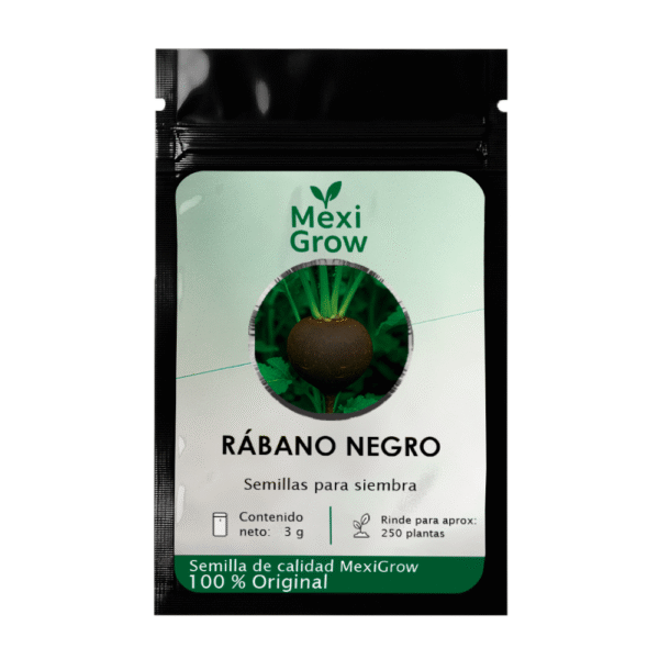 Rábano Negro – Semilla Premium seleccionada por MexiGrow