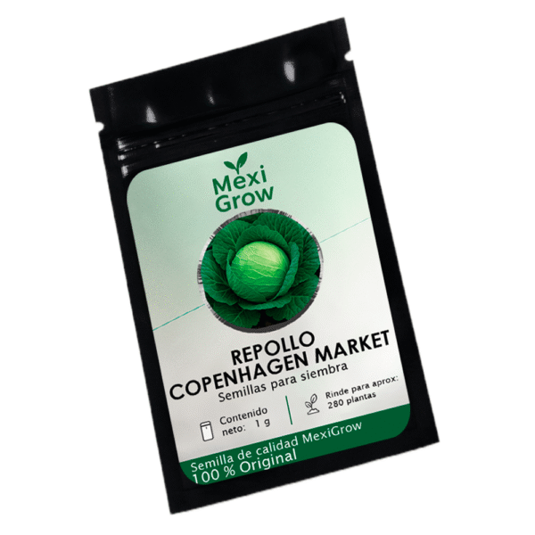 IMG_Repollo_Copenhagen_MarketV_4 Repollo Copenhagen Market – Semilla Premium seleccionada por MexiGrow