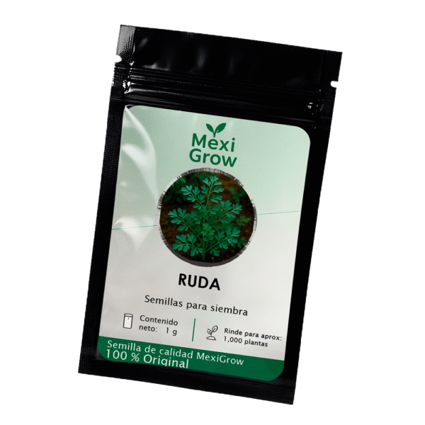 Ruda – Semilla Premium seleccionada por MexiGrow
