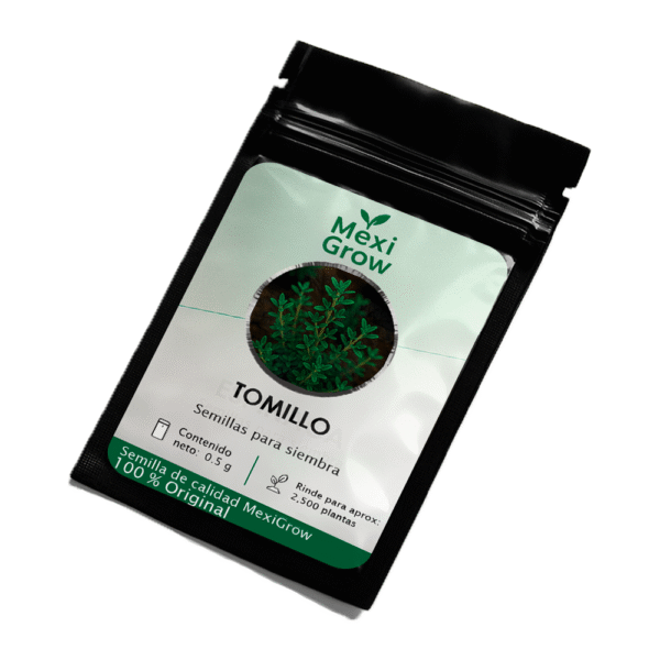 Tomillo – Semilla Premium seleccionada por MexiGrow
