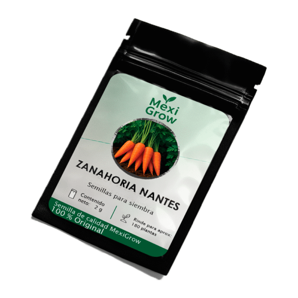Zanahoria Nantes – Semilla Premium seleccionada por MexiGrow