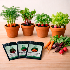 Calabaza Redonda Zucchini Round Westar – Semilla Premium seleccionada por MexiGrow