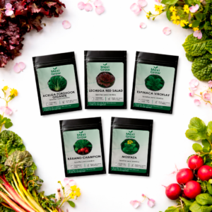 Kit Primavera Rápida – 5 Semillas de Cosecha Rápida seleccionadas por MexiGrow